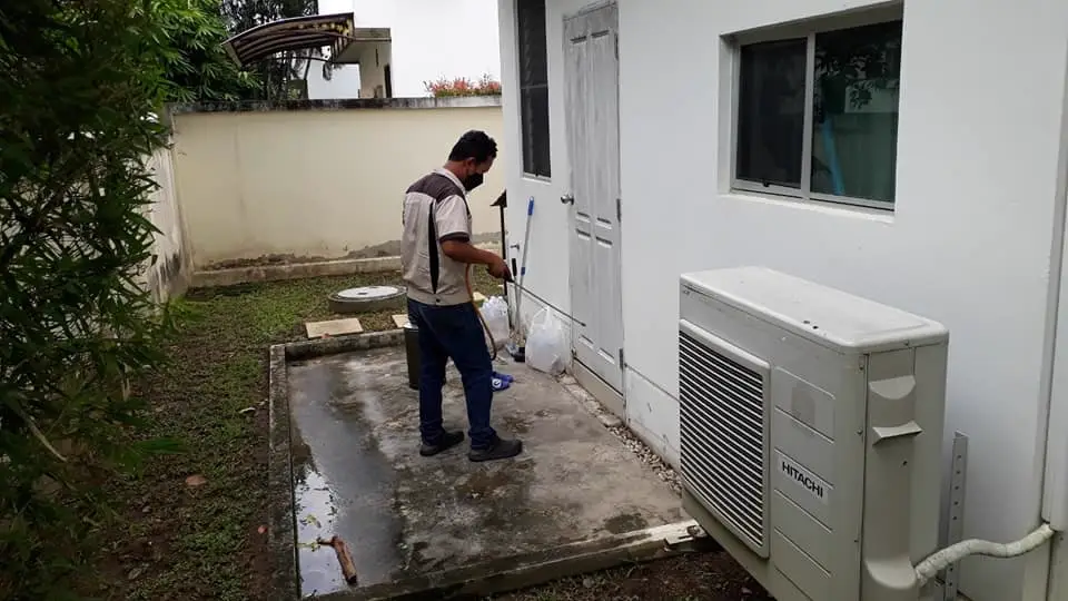Ant control and outdoor pathway treatment application around property